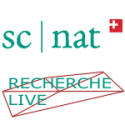Recherche live